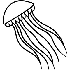 Comb Jelly line art vector