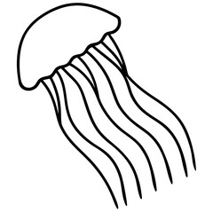 Comb Jelly line art vector