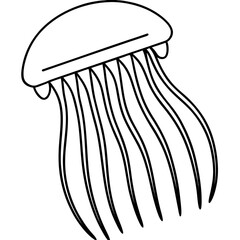 Comb Jelly line art vector