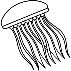 Comb Jelly line art vector