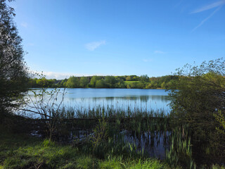 UK lake with reeds, woodland and open blue sky