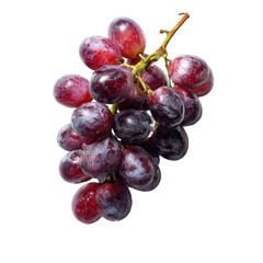 Fototapeta premium Close-up of a bunch of plump, red-purple grapes on a stem against a black background