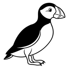 Puffin line art vector