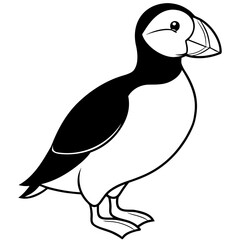 Puffin line art vector