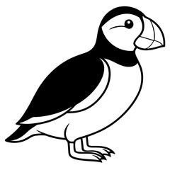 Puffin line art vector