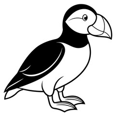 Puffin line art vector