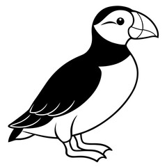 Puffin line art vector