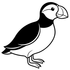 Puffin line art vector