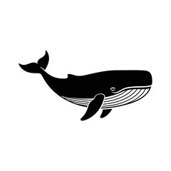 Black and White Whale Illustration with Distinctive Markings