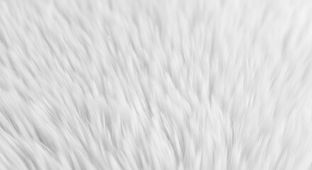 Fototapeta premium Subtle light gray textured abstract surface with soft vertical patterns and grain