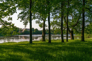 Obraz premium Orlovsky Recreation Park on the shore of the Orlovsky Pond on a sunny summer day, Strelna, Saint Petersburg, Russia