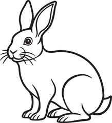 Obraz premium rabbit line art, coloring book page line art drawing, vector and illustration