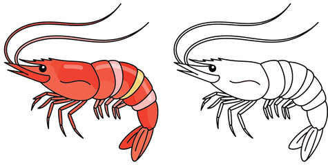 Vibrant Red Cartoon Shrimp Illustration with Black and White Outline – Perfect for Seafood Menus, Educational Content, Marine Life Themes, and Coloring Activities