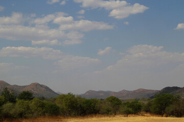  Nature in the Vredefort Dome area is characterized by its unique, rugged Bushveld landscape, shaped by a massive ancient meteorite impact, and its rich biodiversity of the surrounding area. 