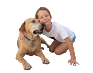Little boy hugging his labrador dog sitting on floor over transparent background. PNG transparent.