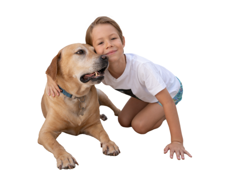 Little boy hugging his labrador dog sitting on floor over transparent background. PNG transparent.