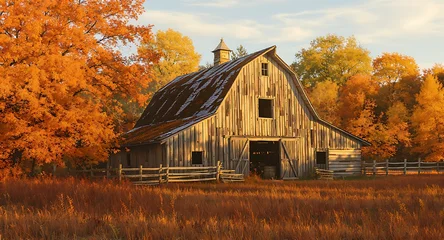 Poster de jardin  Rustic Wooden Barn Bathed in Golden Autumn Light, Surrounded by Vibrant Fall Foliage and Dry Fields at Sunset  © Ngatini