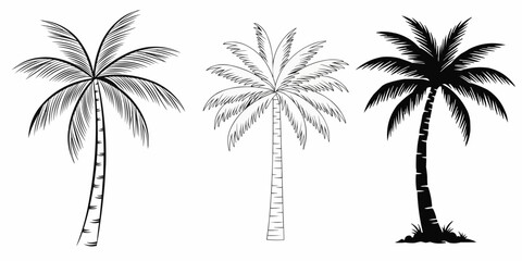 Obraz premium Palm tree silhouette vector