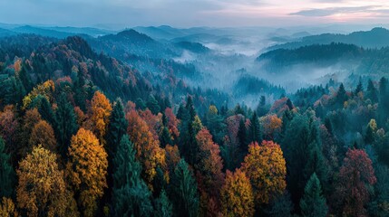 Aerial panorama of golden autumn forest, vibrant hues, ethereal mist at dawn