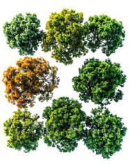 Obraz premium Aerial view of multiple trees in a grid pattern. Colorful tops