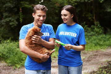 Volunteers with cute stray dog and toy outdoors. Animal rescue