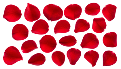 Single Red Rose Petals in Motion, Falling Floral Elements for Decoration, Transparent Background PNG