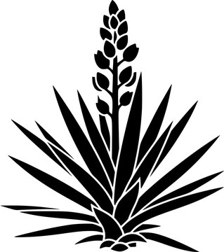 yucca silhouette line art vector illustration with a white background