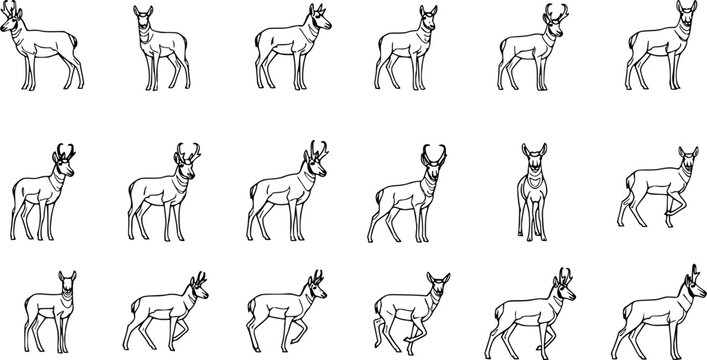 Naklejki pronghorn silhouette line art vector illustration with a white background