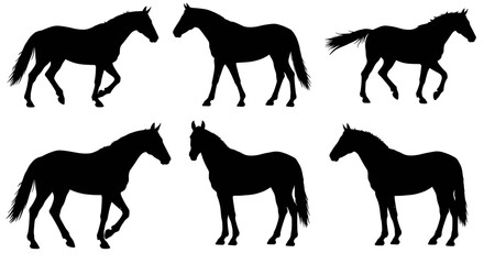 Collection of Six Black Horse Silhouettes in Various Poses.