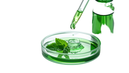 Green liquid being dispensed into a petri dish with mint leaves