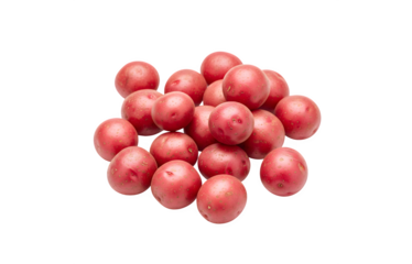 Tiny red potatoes on a pristine white surface