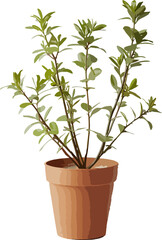 green plant in a pot