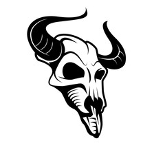 bull skull isolated on white