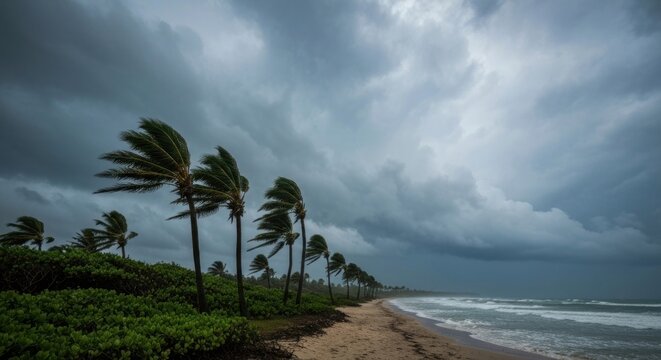 Stormy beach scene with palm trees - Powered by Adobe
