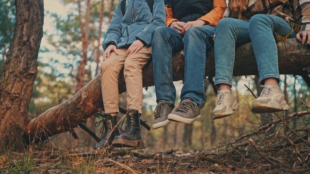 teenagers hikers tourists sit on a tree in the forest park. travel team business freedom concept. shoes close-up feet sitting on a tree in the forest lifestyle park - Powered by Adobe