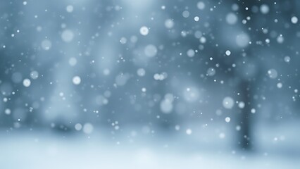 Fototapeta premium Gentle snowfall in soft illumination, evoking quiet winter mood.