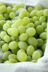 Fresh Green Grapes with Water Droplets in White Container