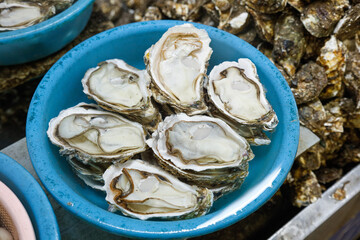 Fresh Opened Oysters at Lushan Seafood Market - Live Marine Shellfish Ingredients Display