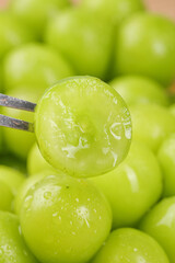 Fresh Green Lime Slice with Tongs - Juicy Citrus Fruit for Cocktails and Cooking