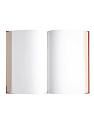 Naklejka premium Open book, blank pages (2)
