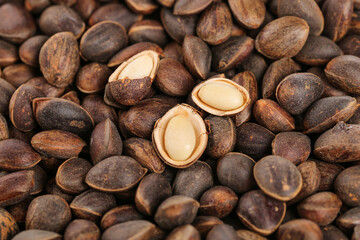 Fresh Pine Nuts from Yunnan Mountains China - Natural Harvested Edible Seeds with Shells
