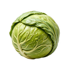 Harvesting Fresh Green Brussels Sprouts Organic Farm Food Photography Outdoor Setting Close-up Perspective Isolated on transparent background	