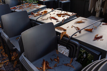 Closed outdoor café seating covered in autumn leaves