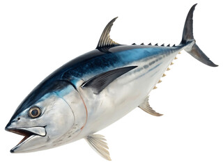 Magnificent Tuna Fish Detailed Close Up