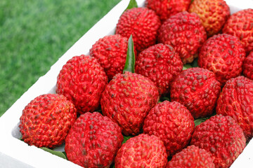 Fresh Red Lychee Fruits in Container - Tropical Exotic Fruit Harvest