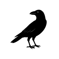 Obraz premium A lone tree silhouette against a dark sky silhouette