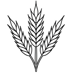 Wheat ears vector illustration isolated on white background