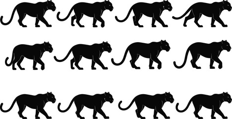 Black panther walking silhouette set in various poses side view big wild feline predator jungle animal vector illustration design