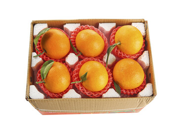Fresh Ehime Oranges in Gift Box with Protective Packaging from Japan