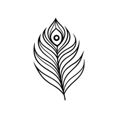 Outline drawing of peacock feather on transparent background